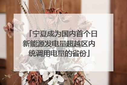 宁夏成为国内首个日新能源发电量超越区内统调用电量的省份